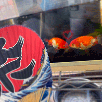 記事画像3